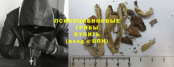 прущие крисы Алзамай
