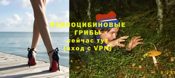 герыч Алексин