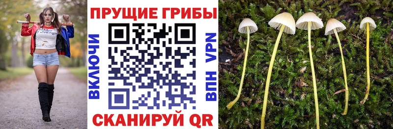 Псилоцибиновые грибы MAGIC MUSHROOMS  Амурск 